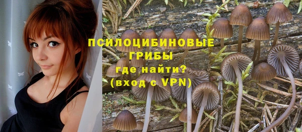 кокс Армянск