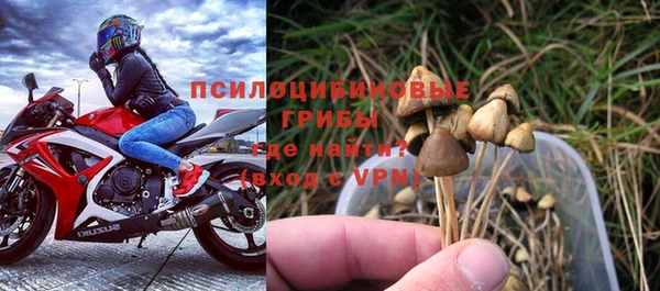 круглые Аркадак