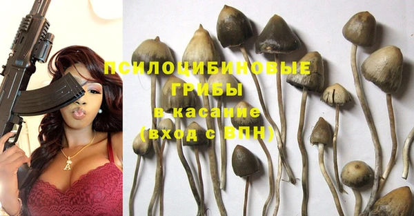 круглые Аркадак