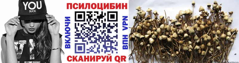 Псилоцибиновые грибы мухоморы  кракен онион  Биробиджан 